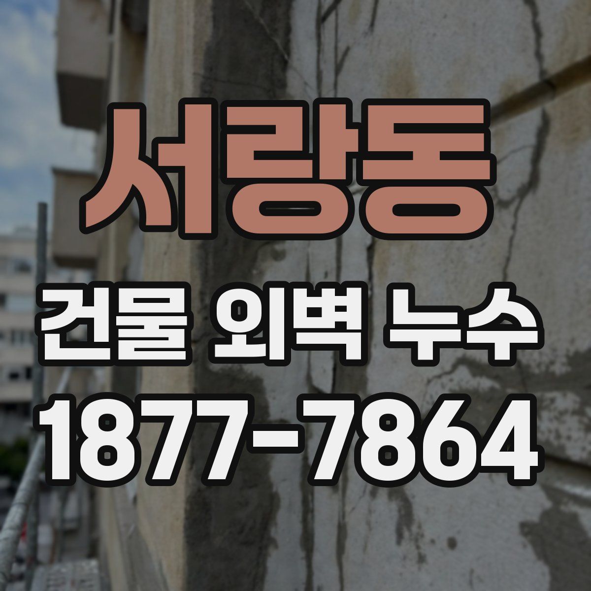 서랑동 건물 외벽 누수