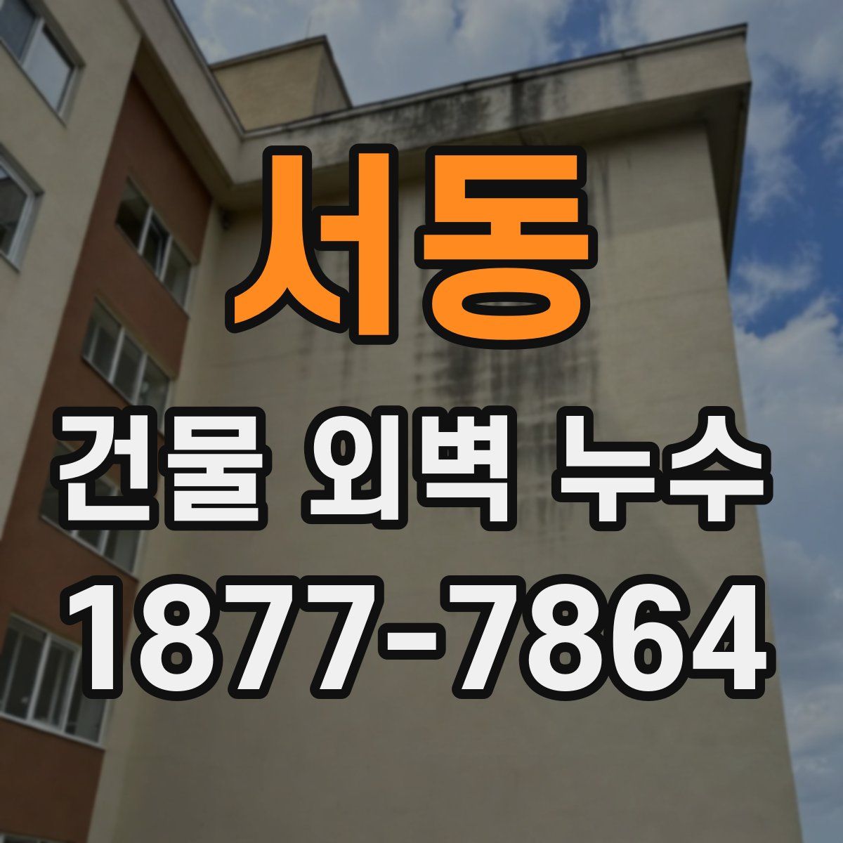 서동 건물 외벽 누수
