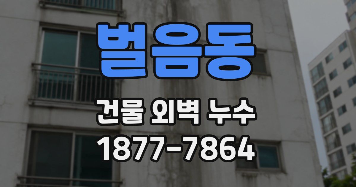 벌음동 건물 외벽 누수