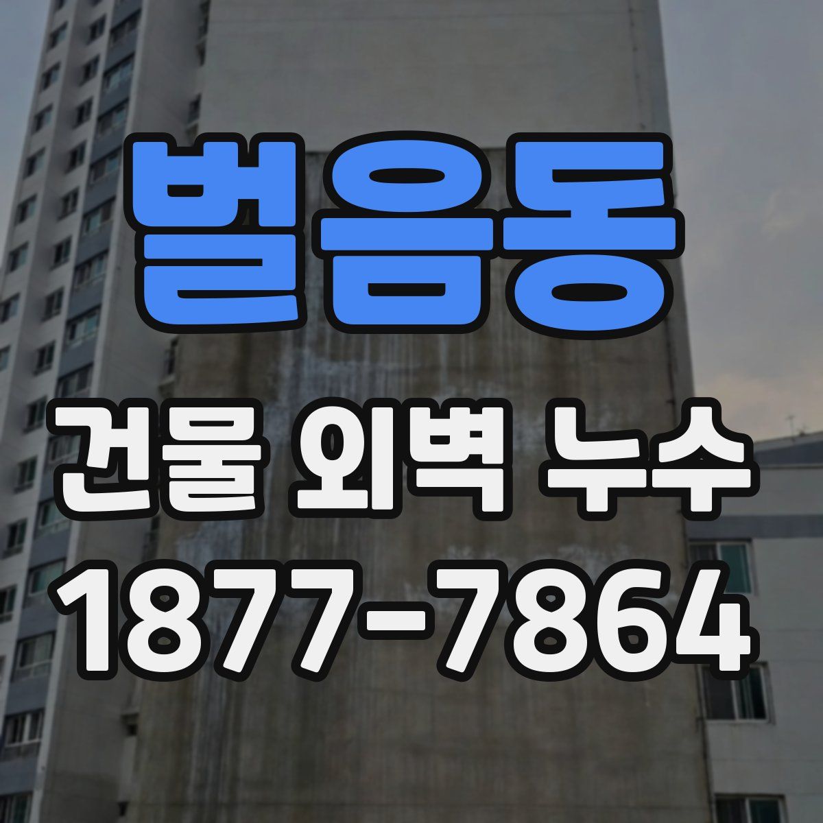벌음동 건물 외벽 누수
