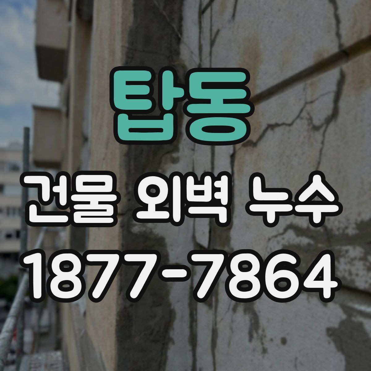 탑동 건물 외벽 누수 문제 해결을 위한 점검 단계