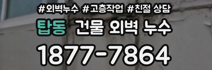 탑동 건물 외벽 누수
