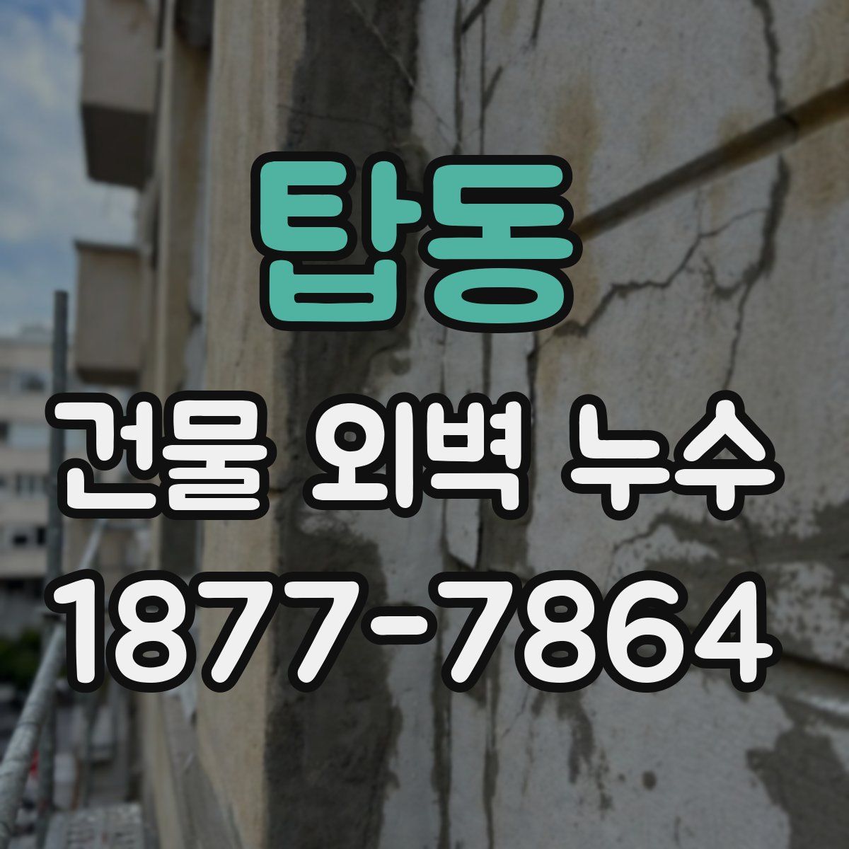 탑동 건물 외벽 누수