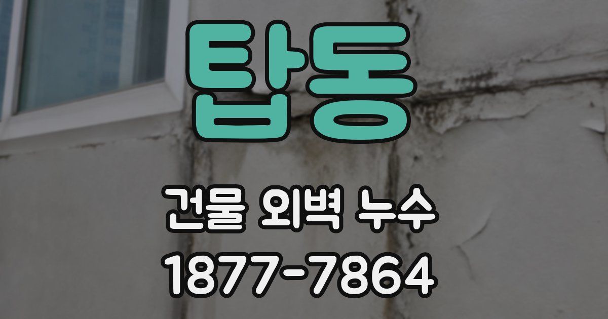 탑동 건물 외벽 누수