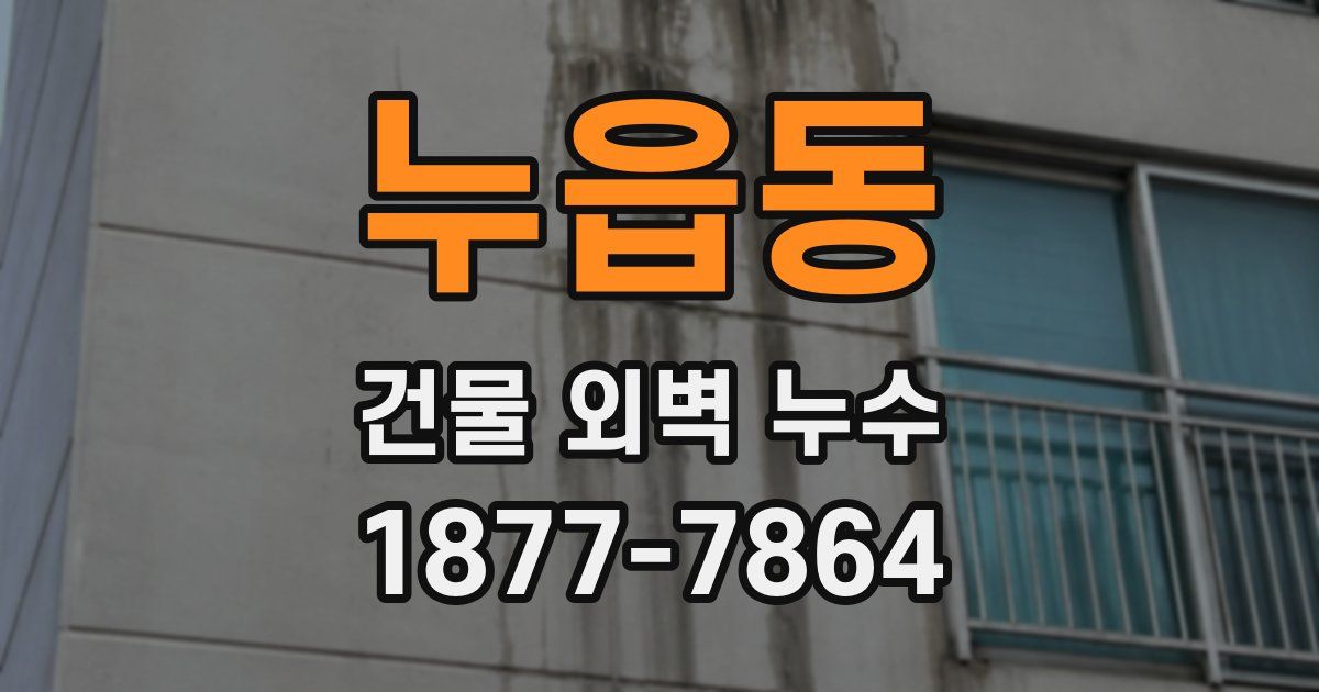 누읍동 건물 외벽 누수