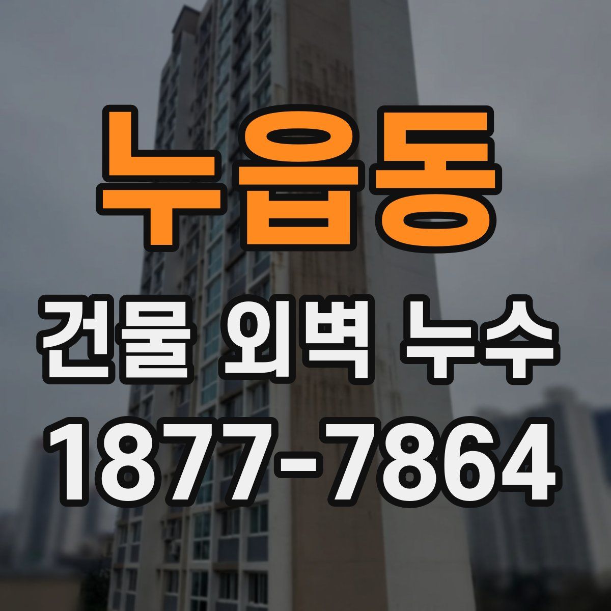 누읍동 건물 외벽 누수