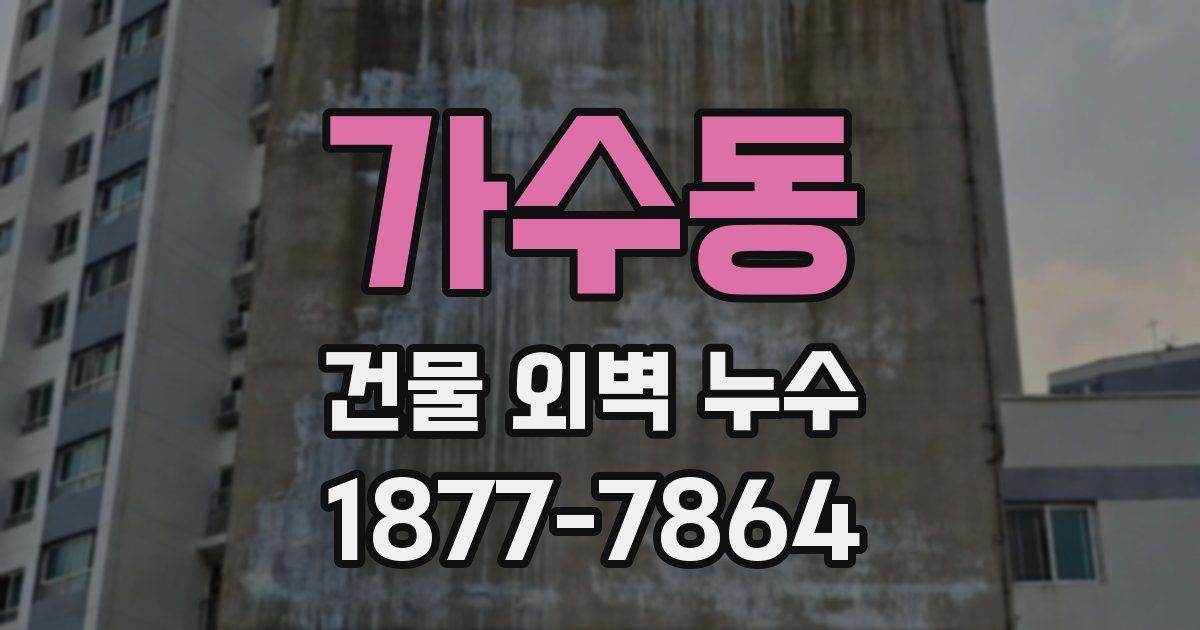 가수동 건물 외벽 누수