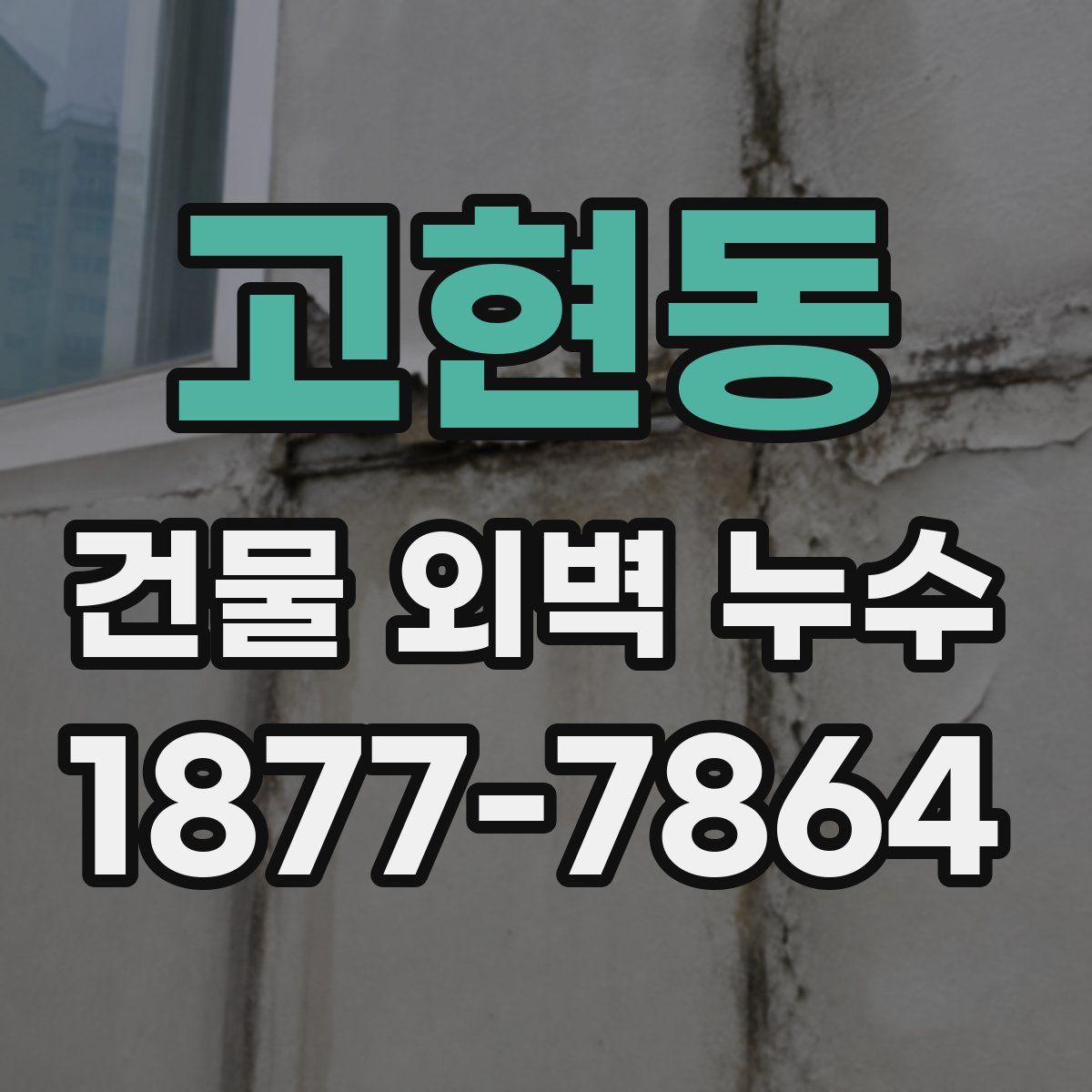 고현동 건물 외벽 누수