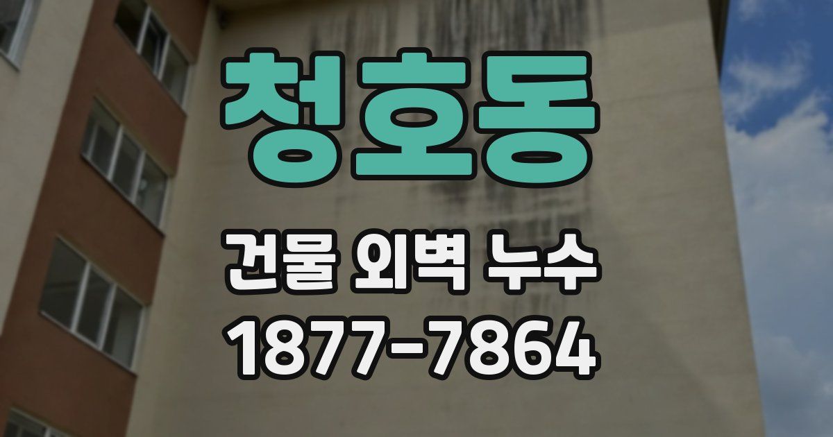 청호동 건물 외벽 누수