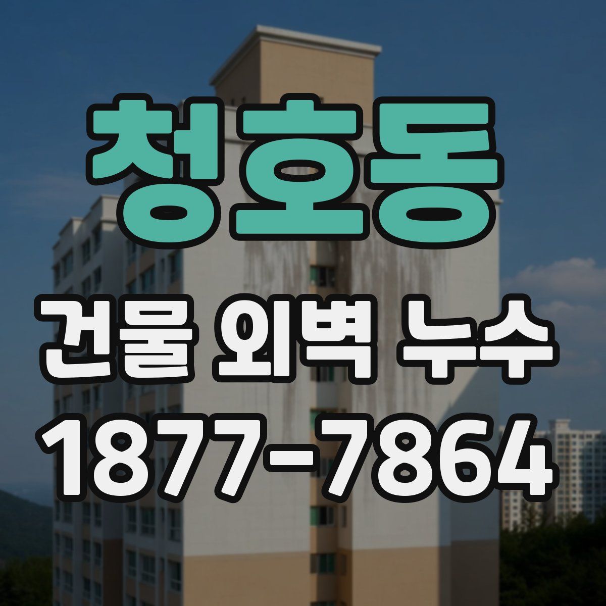 청호동 건물 외벽 누수