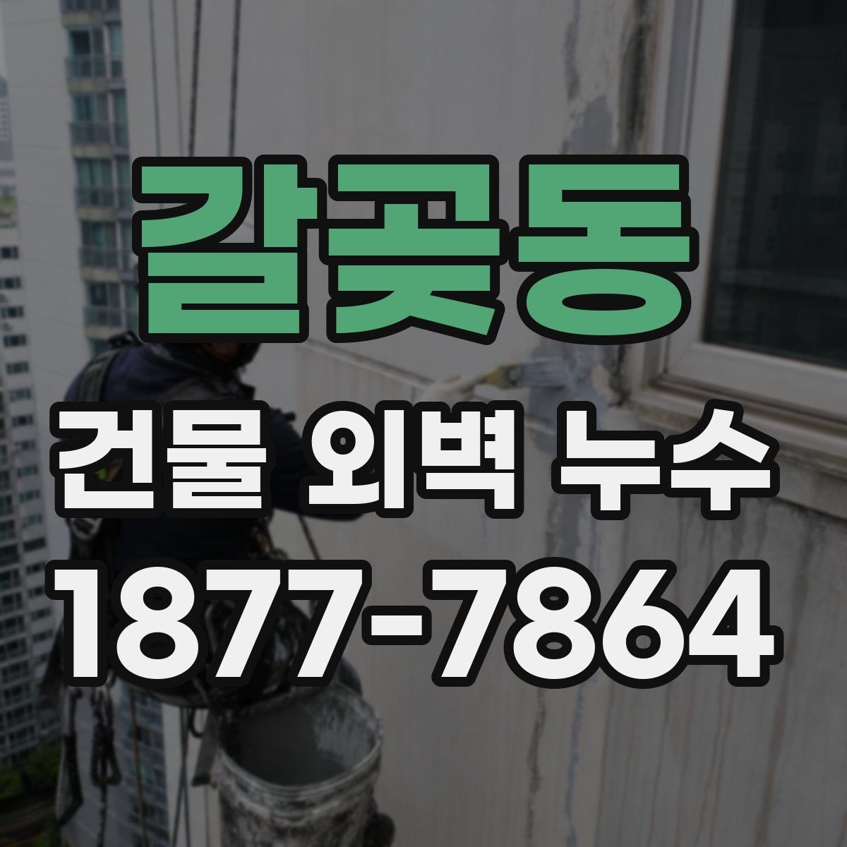 갈곶동 건물 외벽 누수 배관 문제와 외벽 문제 구분