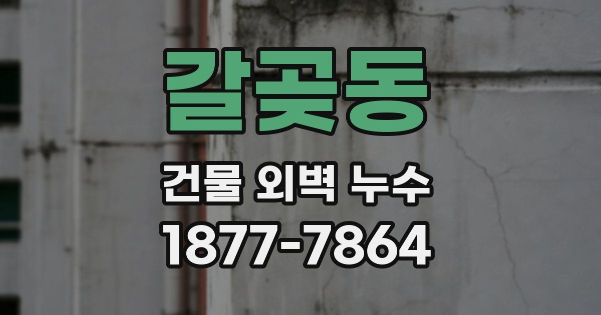 갈곶동 건물 외벽 누수