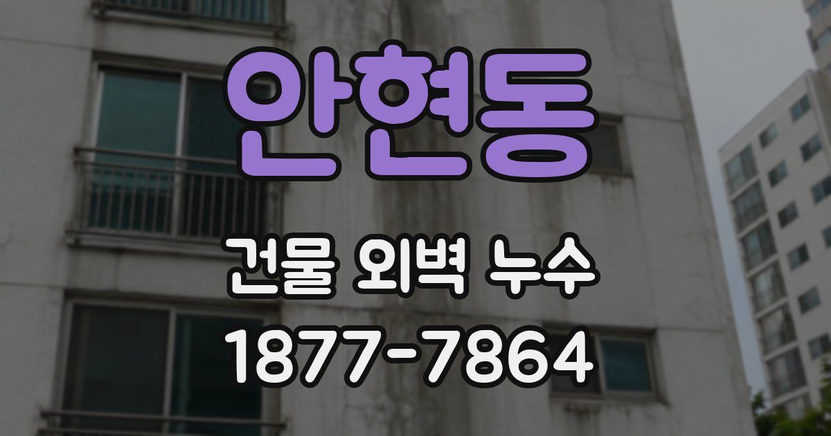 안현동 건물 외벽 누수