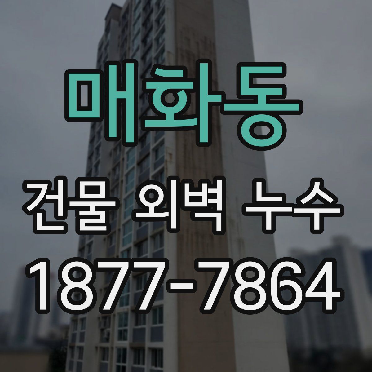 매화동 건물 외벽 누수