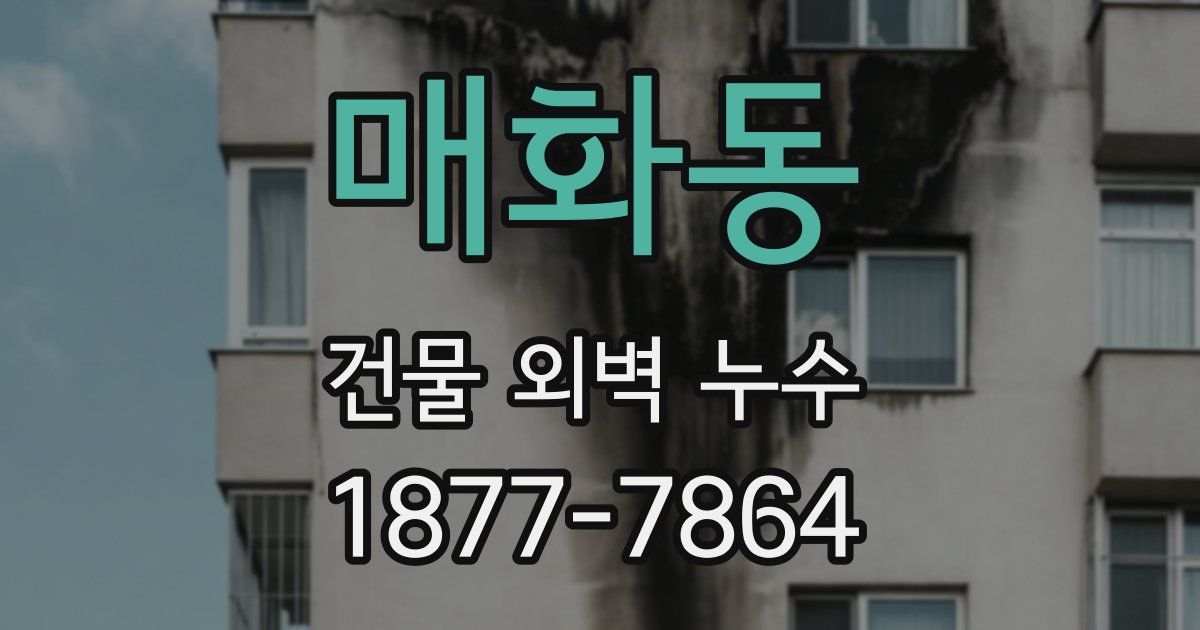 매화동 건물 외벽 누수