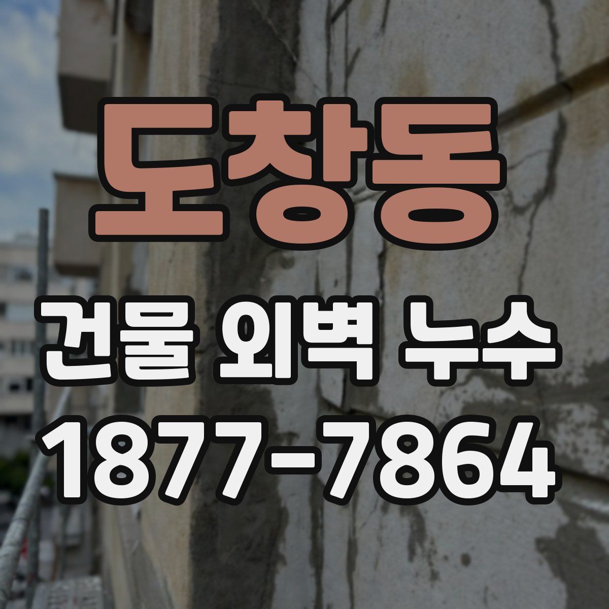 도창동 건물 외벽 누수