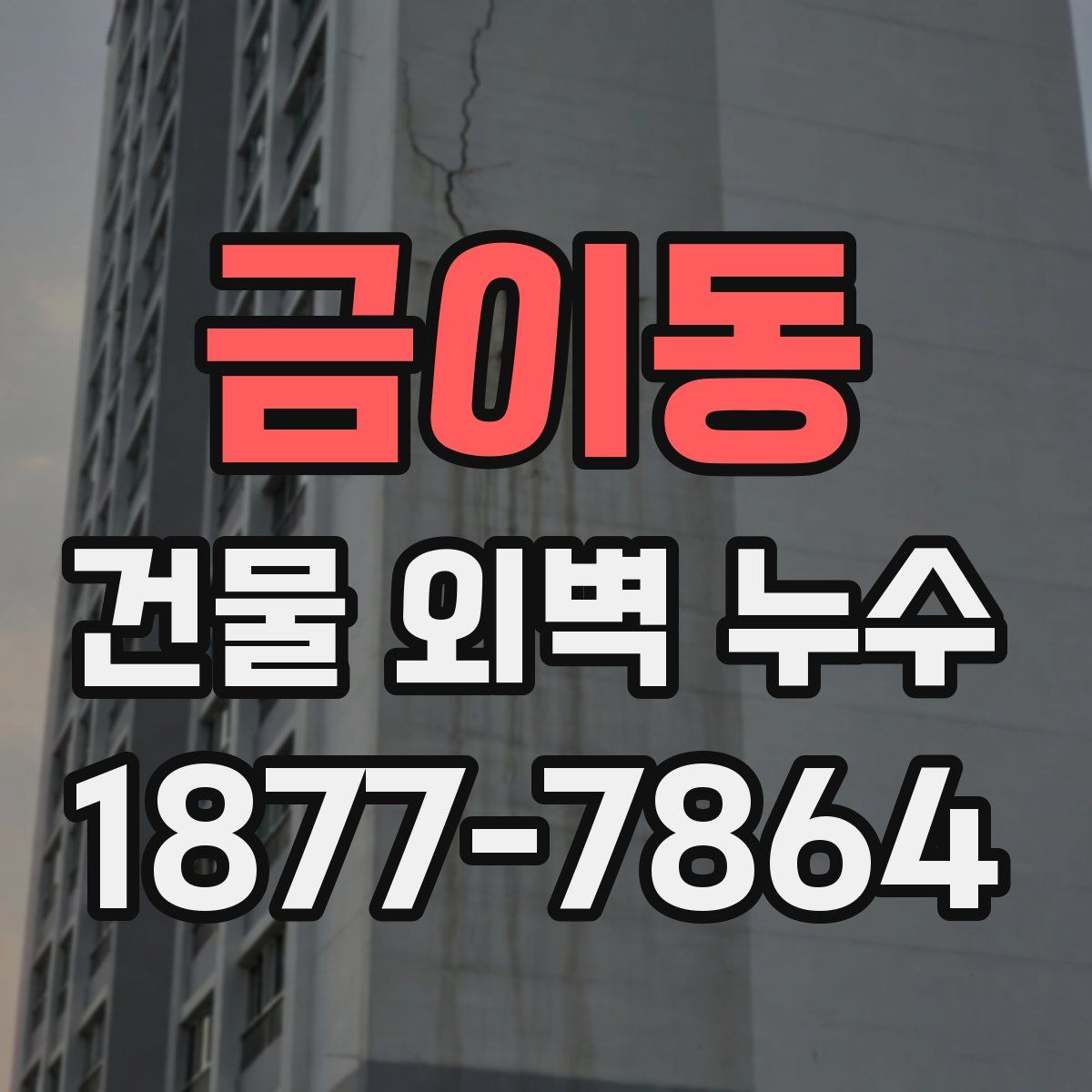 금이동 건물 외벽 누수