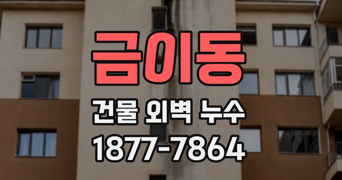 금이동 건물 외벽 누수