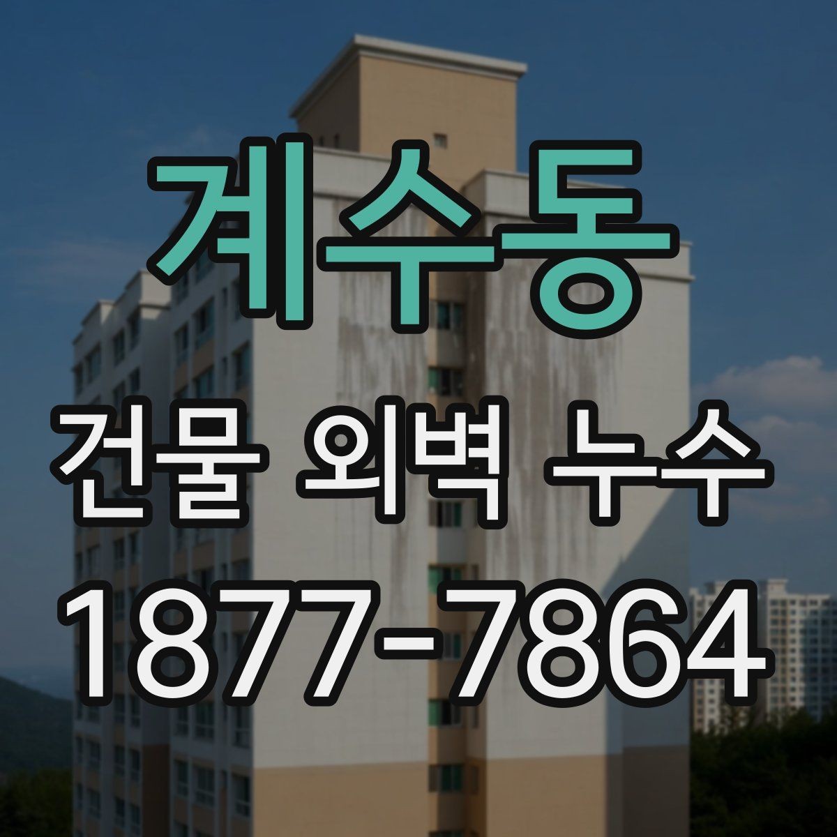 계수동 건물 외벽 누수 점검이 필요한 건물 유형