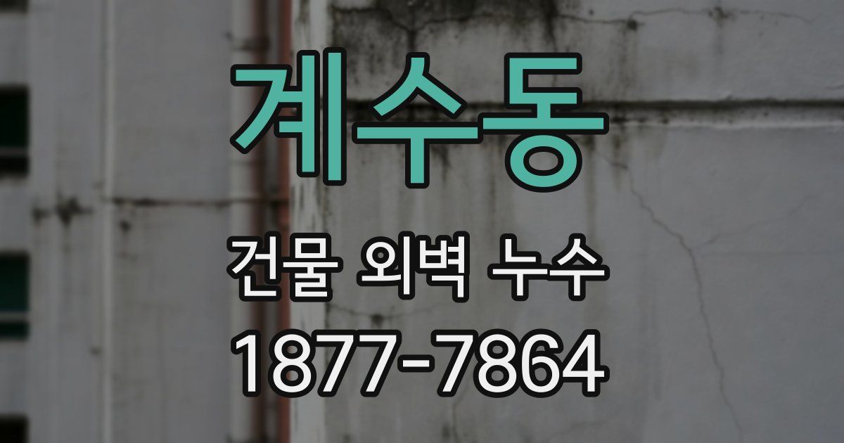 계수동 건물 외벽 누수