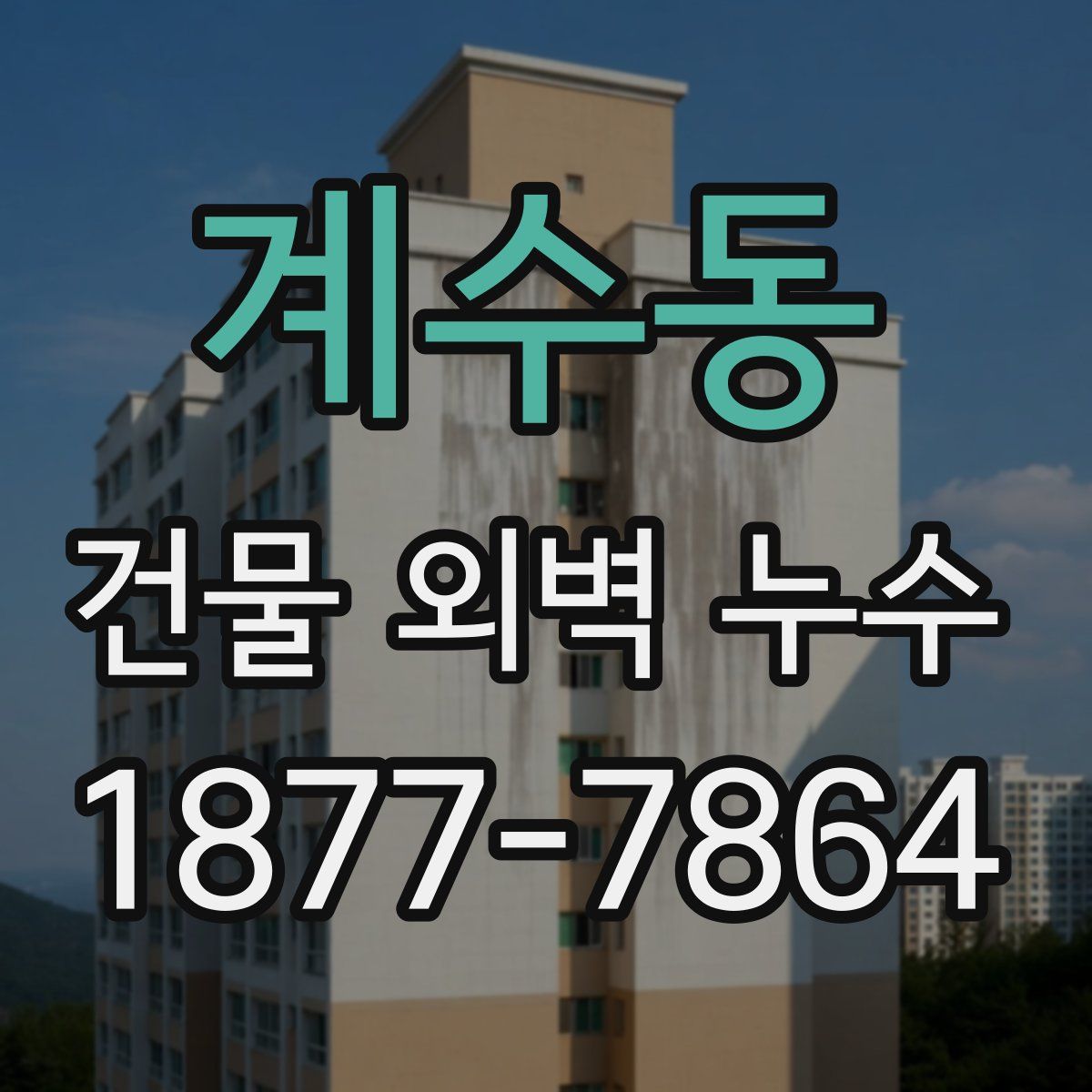계수동 건물 외벽 누수