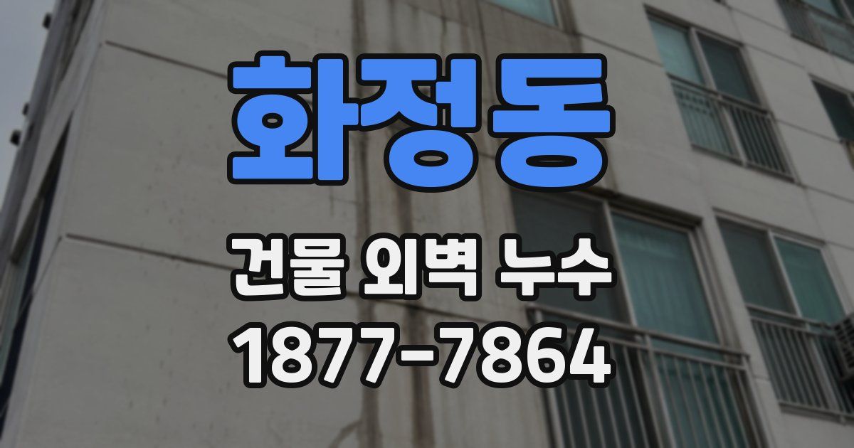 화정동 건물 외벽 누수