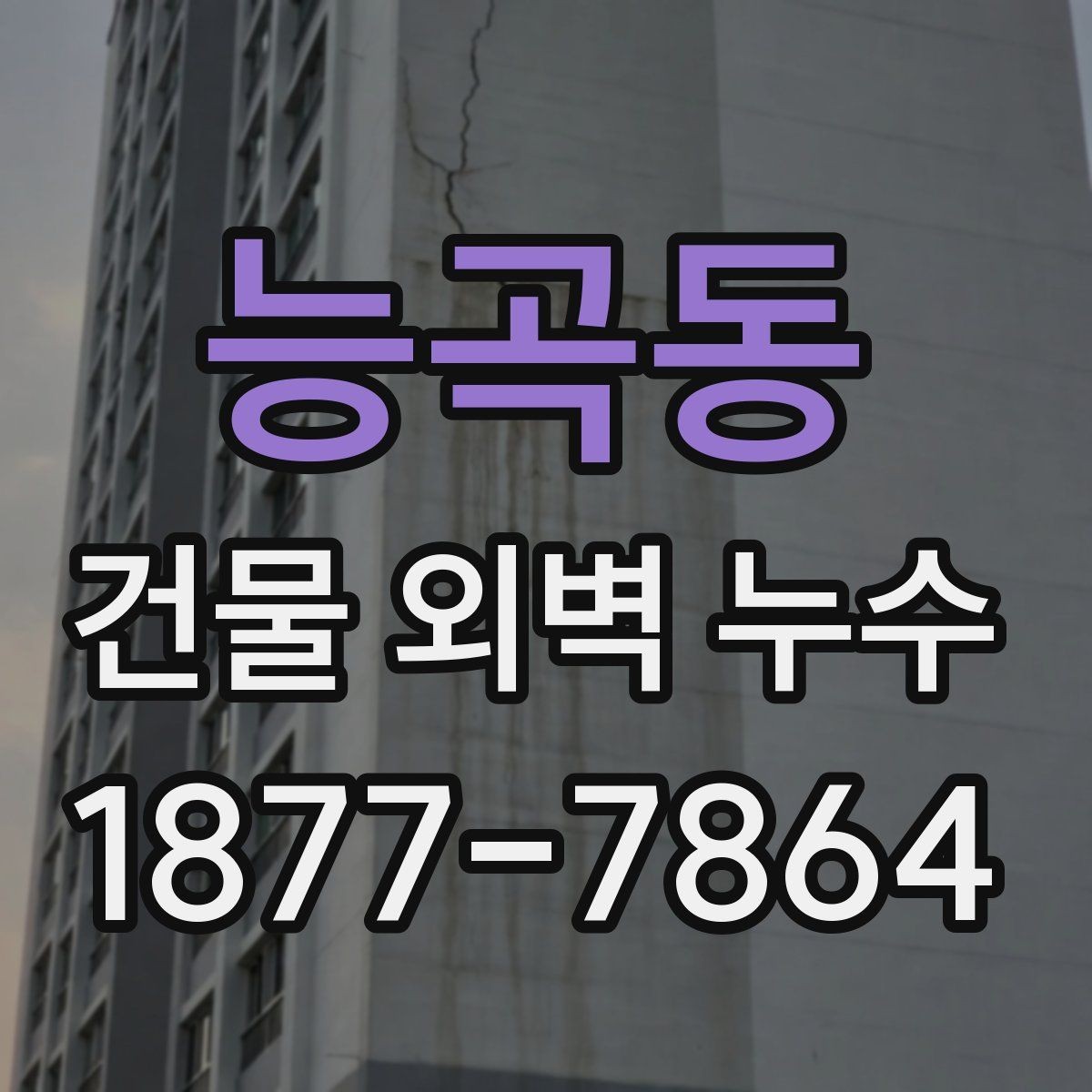 능곡동 건물 외벽 누수 진단 비용과 공사비의 차이
