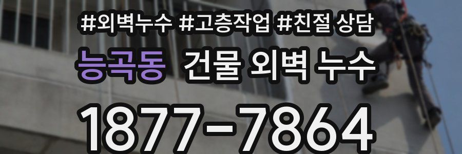 능곡동 건물 외벽 누수