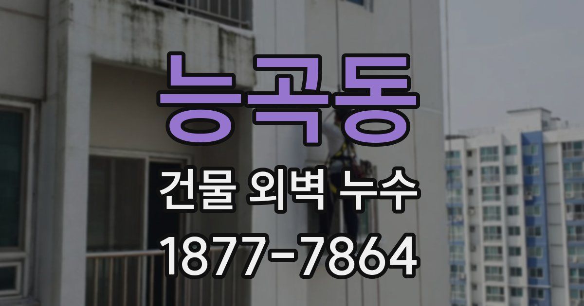 능곡동 건물 외벽 누수