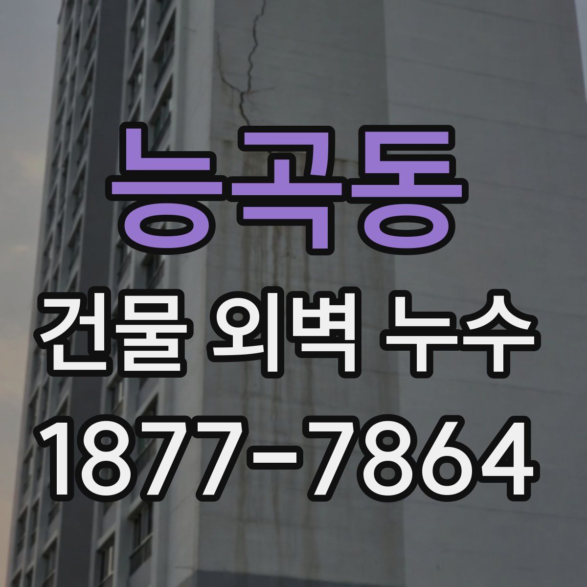 능곡동 건물 외벽 누수