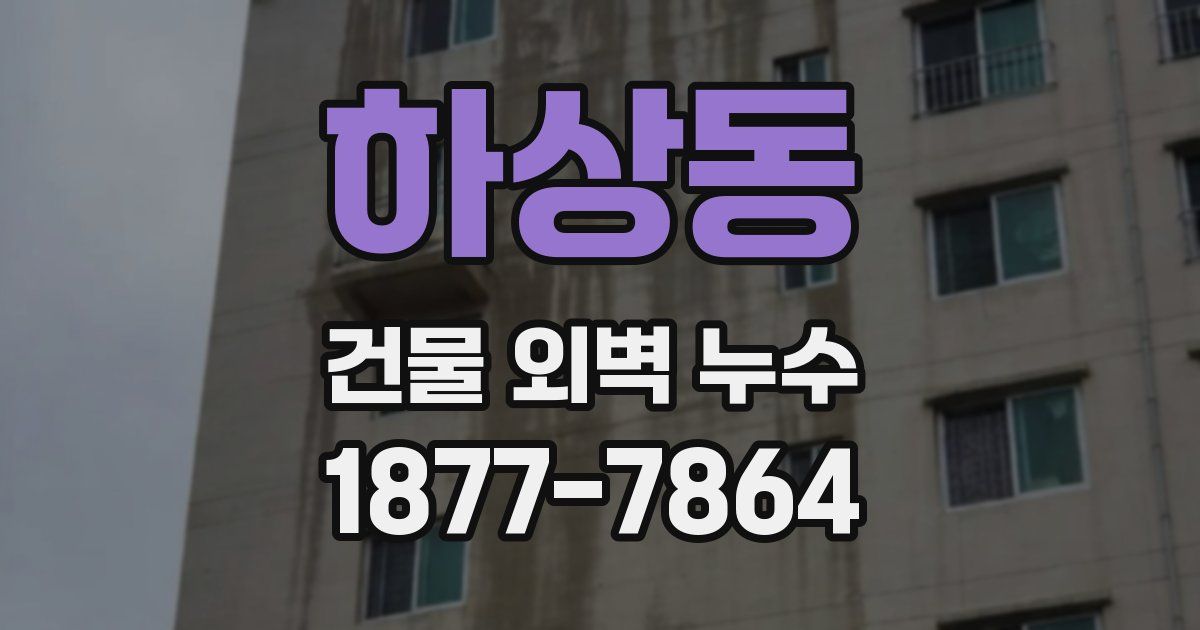하상동 건물 외벽 누수