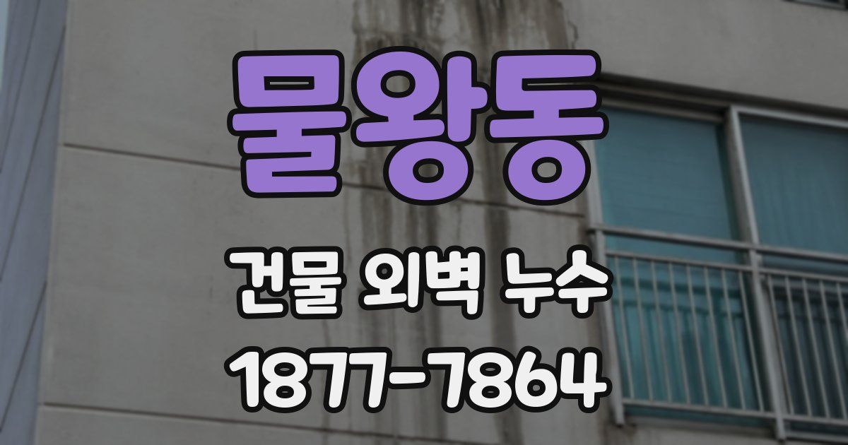 물왕동 건물 외벽 누수