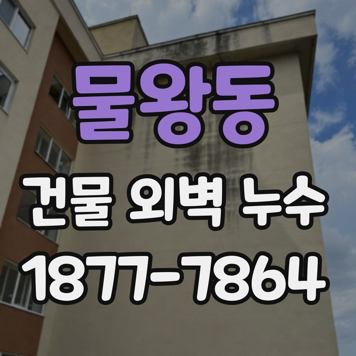 물왕동 건물 외벽 누수