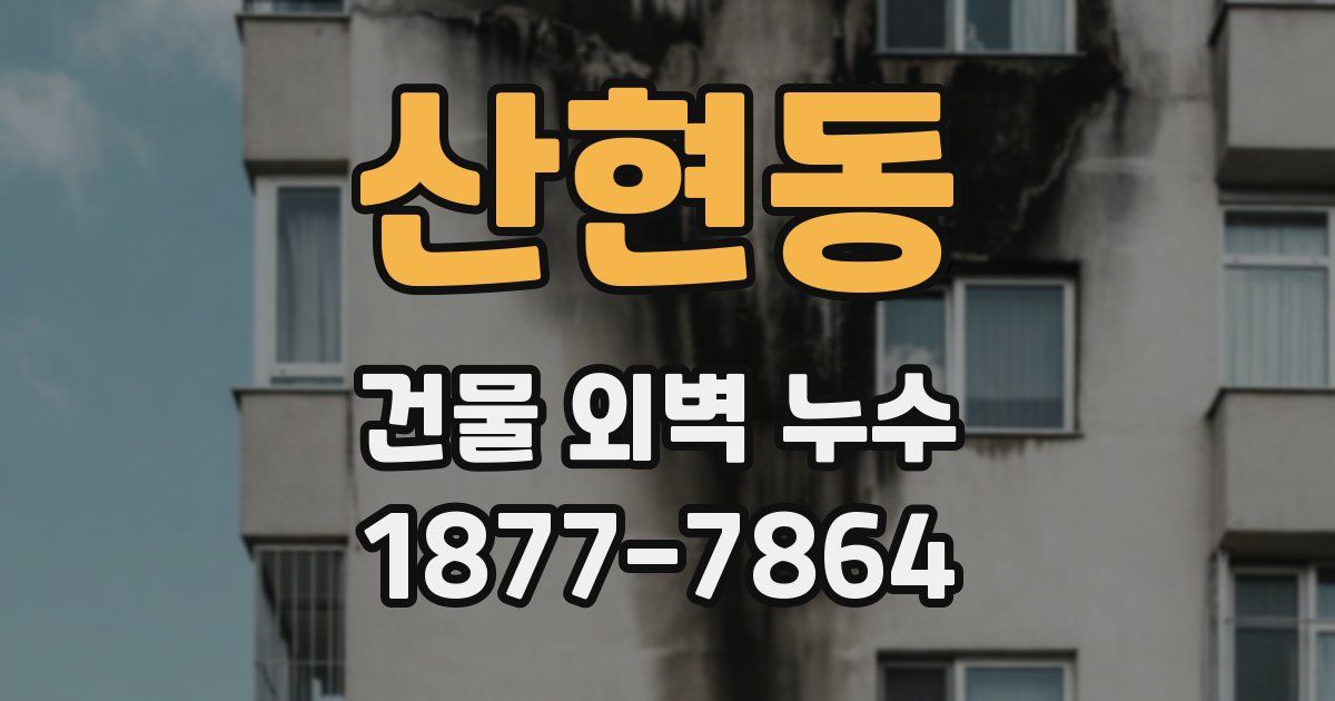 산현동 건물 외벽 누수