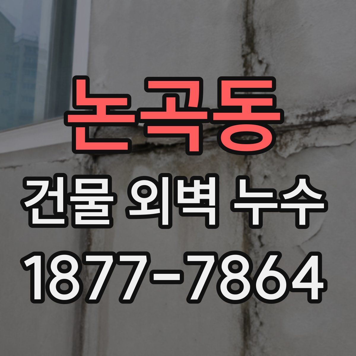 논곡동 건물 외벽 누수
