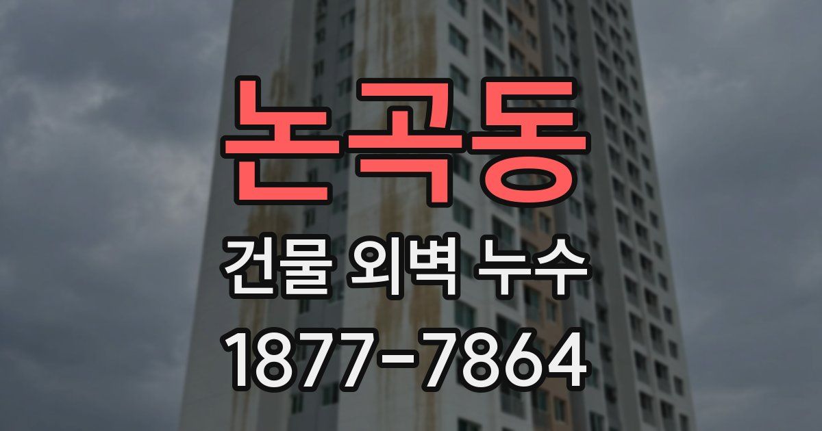 논곡동 건물 외벽 누수