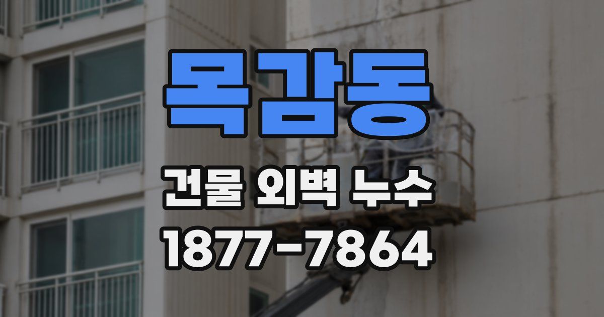 목감동 건물 외벽 누수