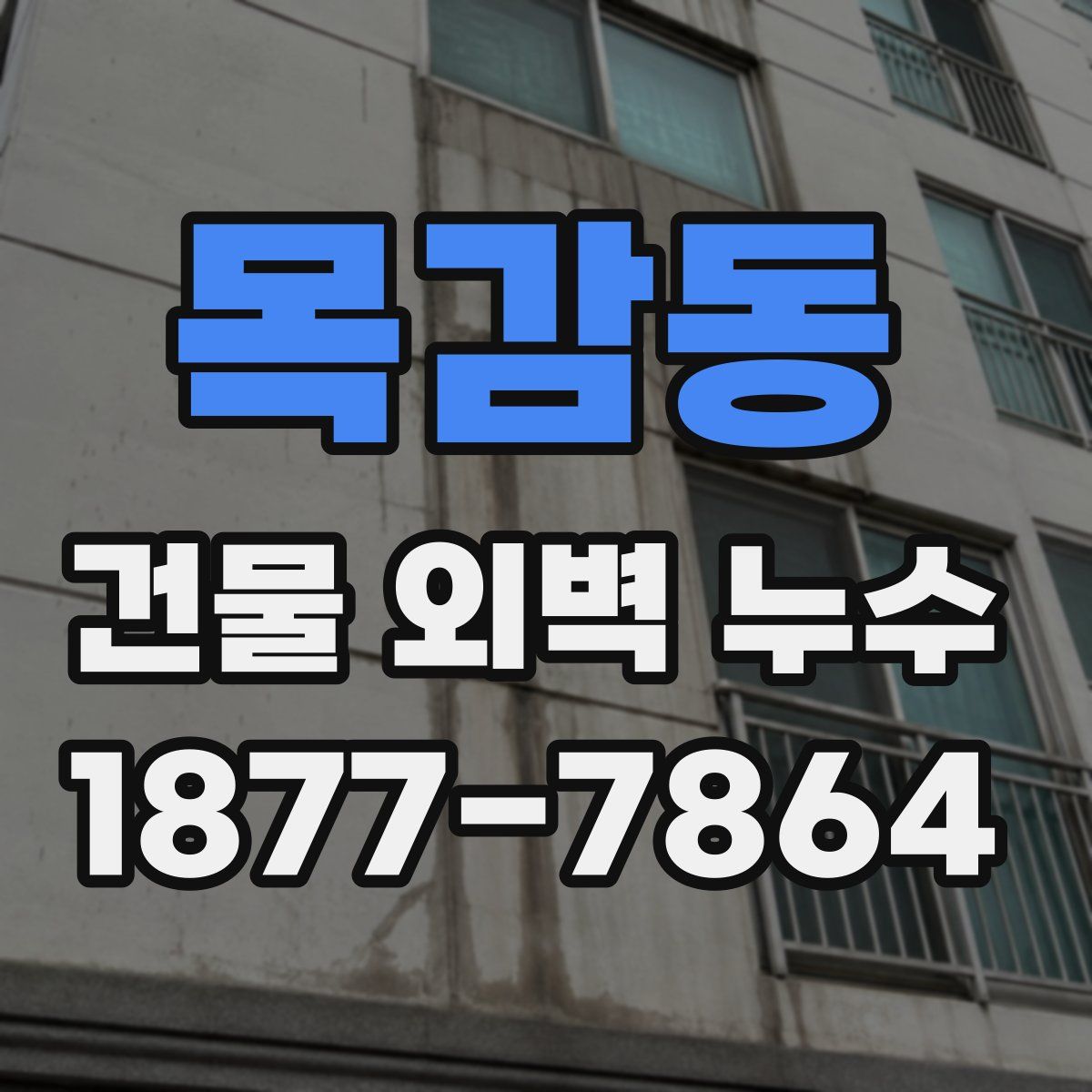 목감동 건물 외벽 누수