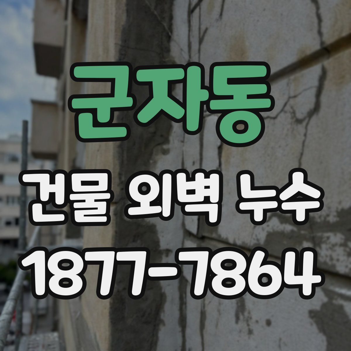 군자동 건물 외벽 누수