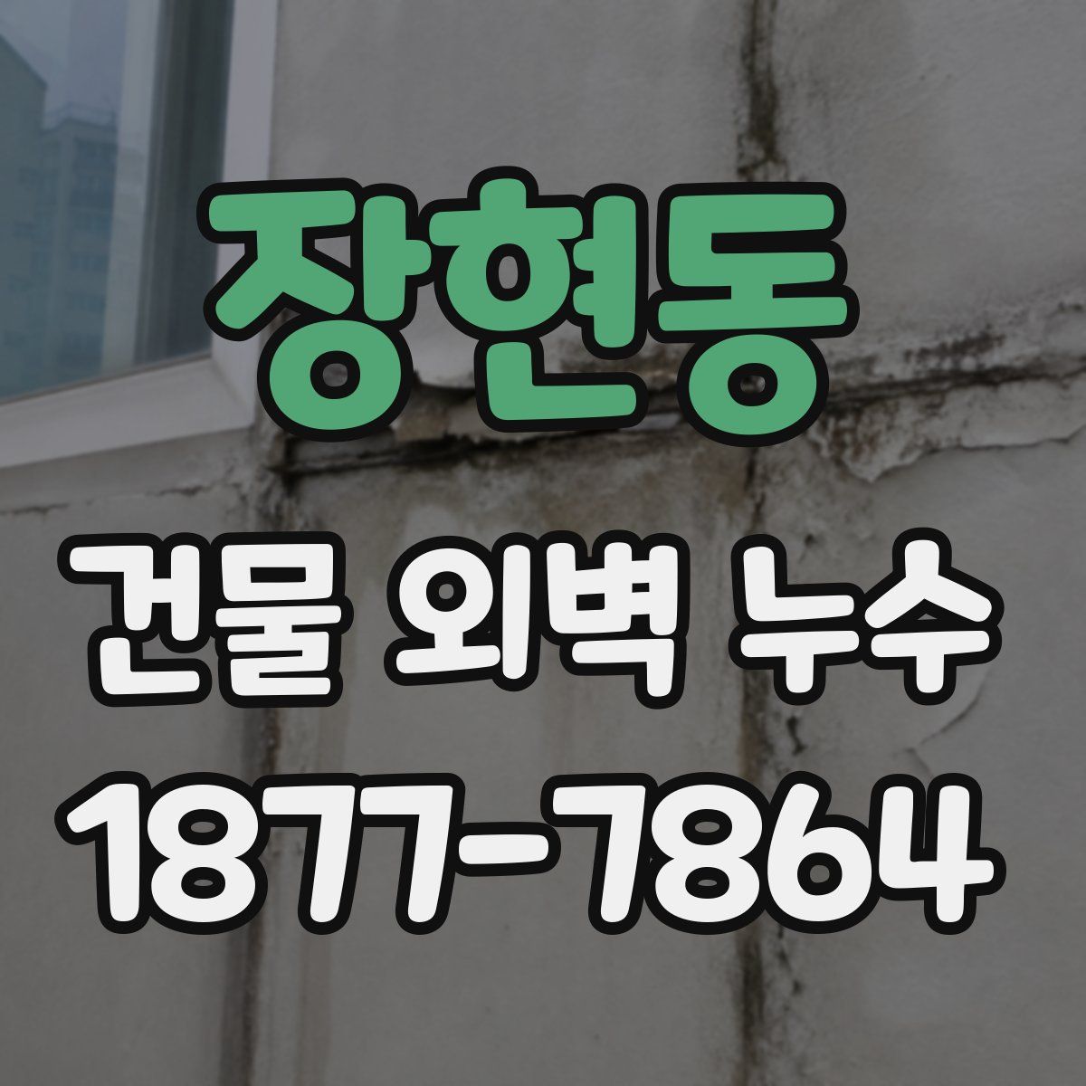 장현동 건물 외벽 누수