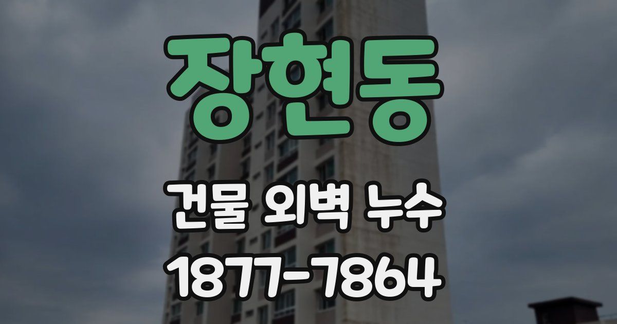 장현동 건물 외벽 누수