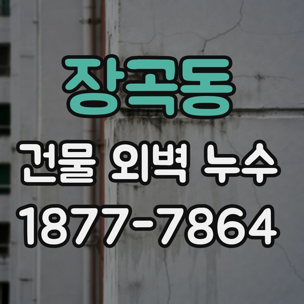 장곡동 건물 외벽 누수