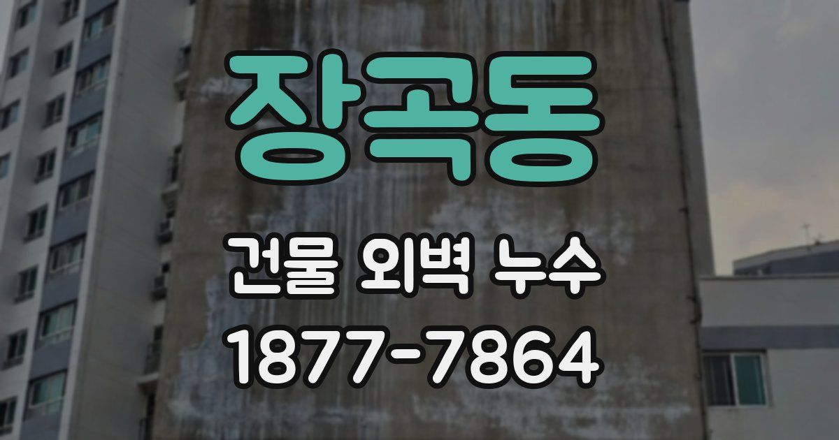 장곡동 건물 외벽 누수