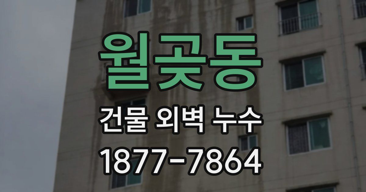 월곶동 건물 외벽 누수