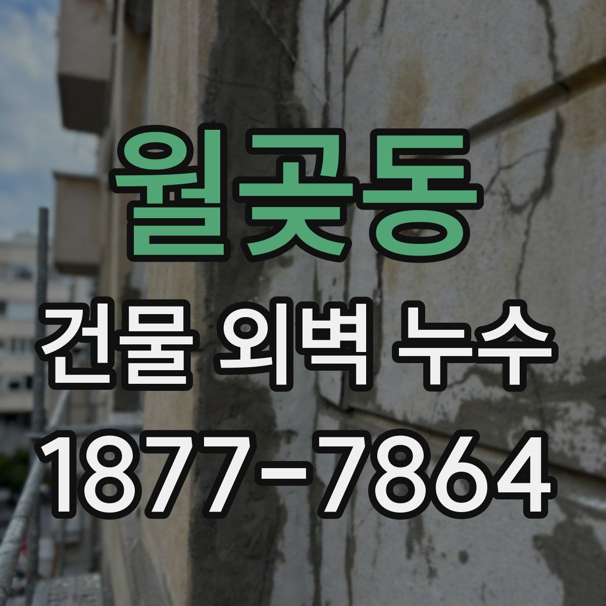 월곶동 건물 외벽 누수