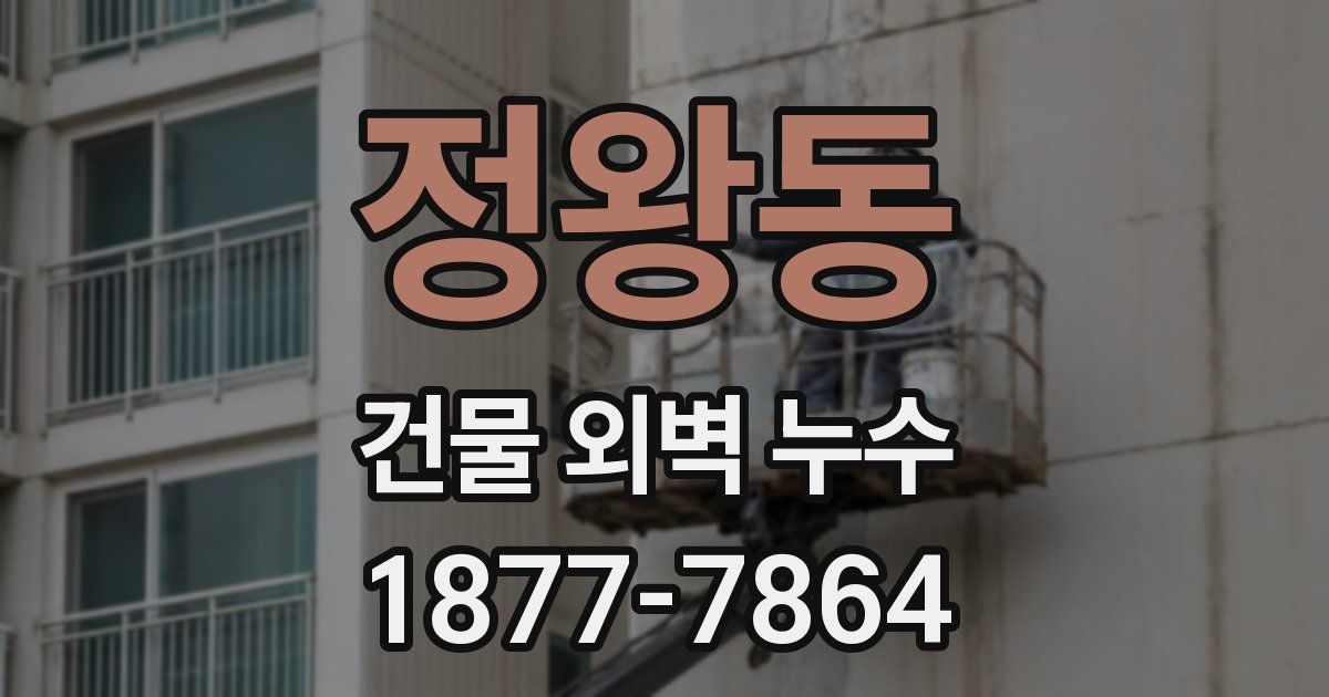 정왕동 건물 외벽 누수