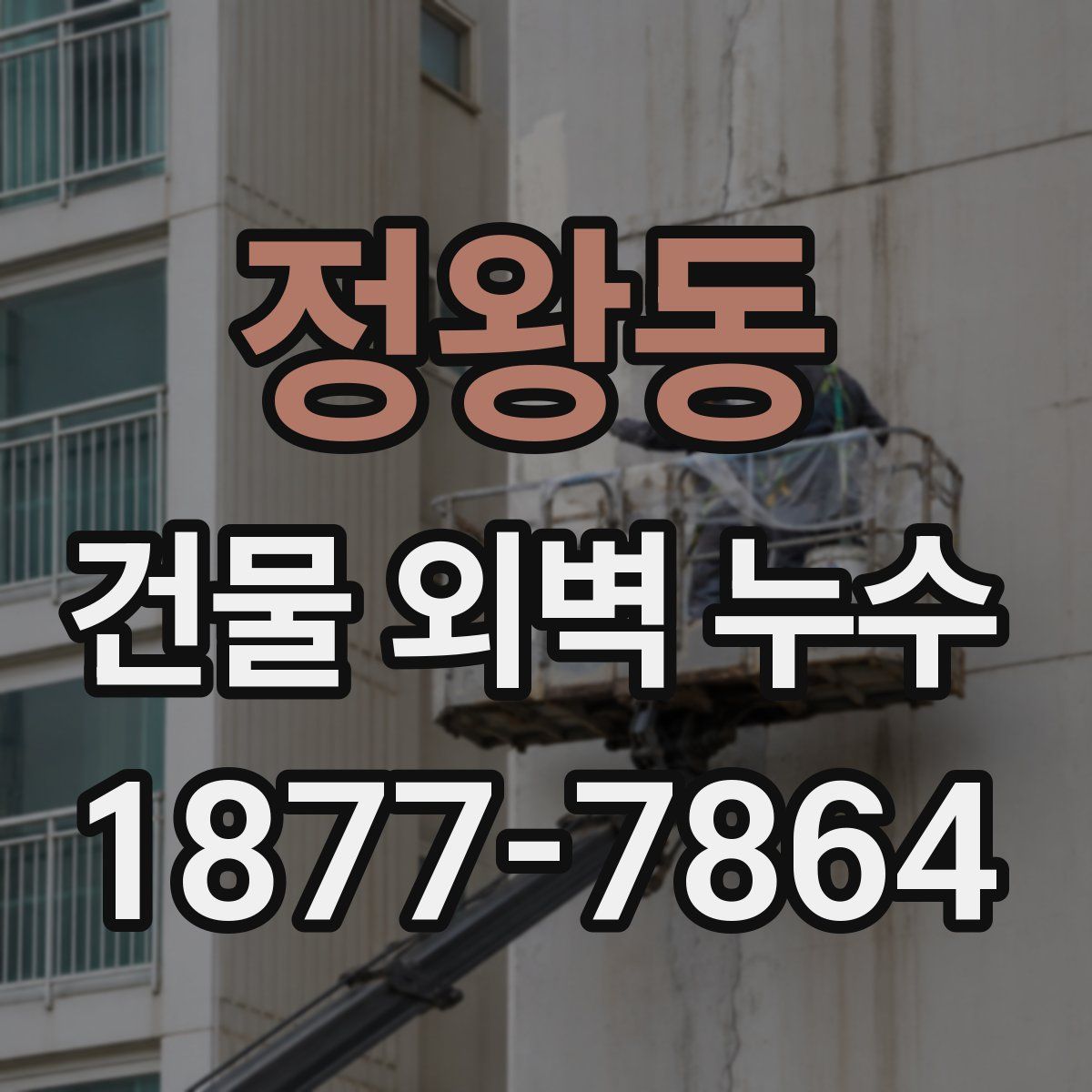 정왕동 건물 외벽 누수