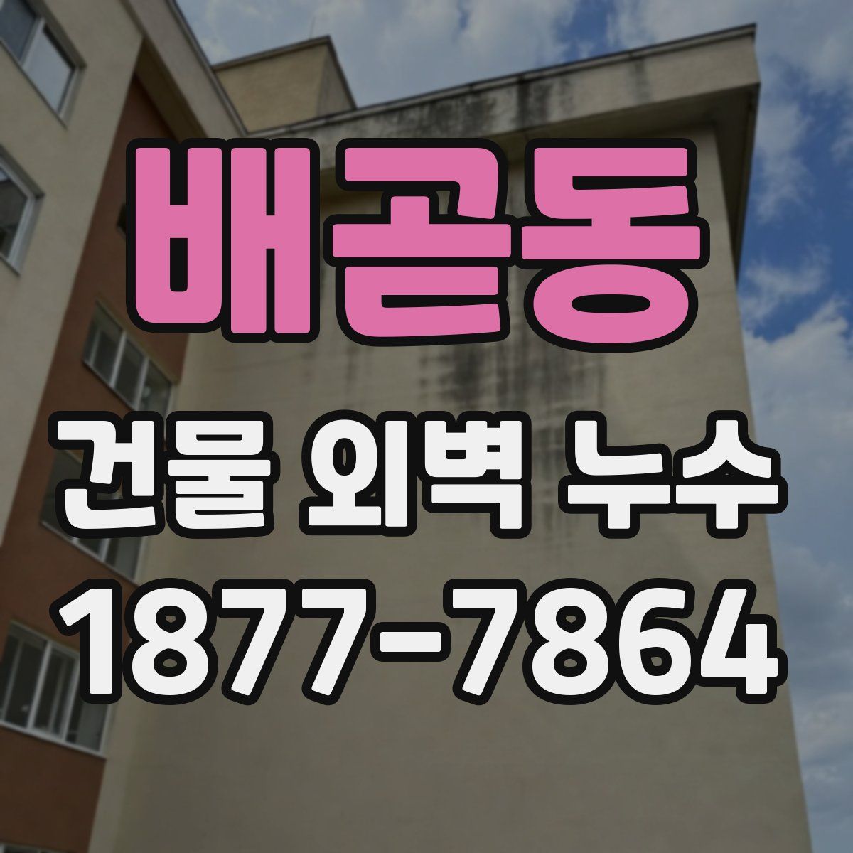 배곧동 건물 외벽 누수