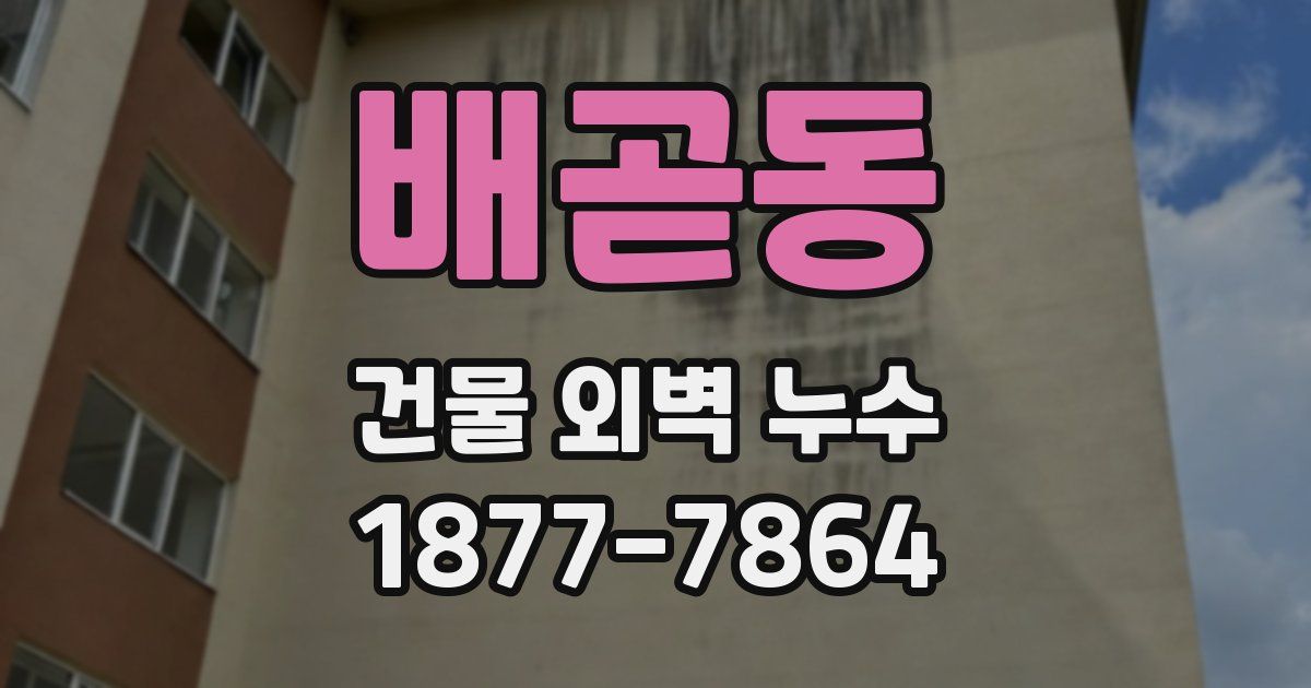 배곧동 건물 외벽 누수