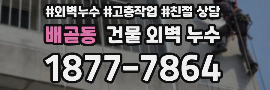 배곧동 건물 외벽 누수